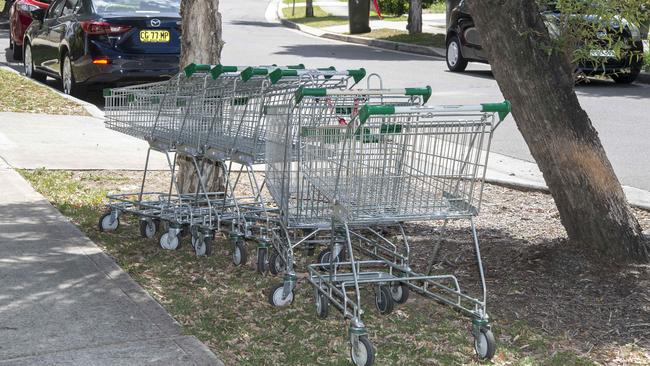 Dumped shopping trolleys at Pastoral Circuit, Pemulwuy. Picture: Troy Snook