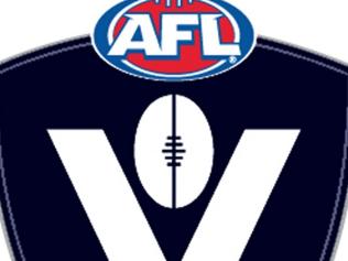 AFL Victoria launches review of clubs and leagues in northwest | The ...