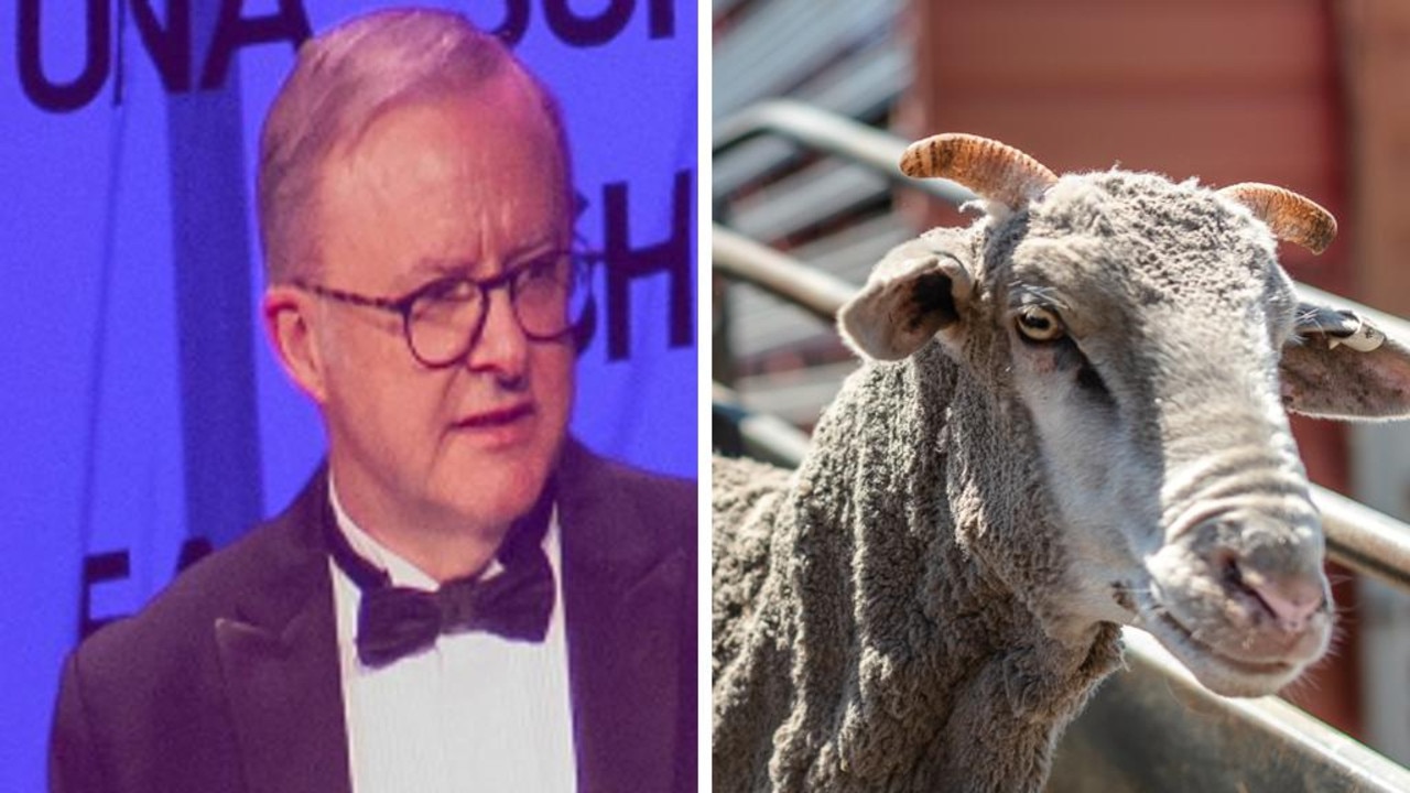 Farmers ‘disgusted’ over Albo live export joke