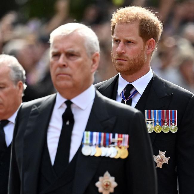 Prince Andrew and Prince Harry (Photo by Kate Green / POOL / AFP)