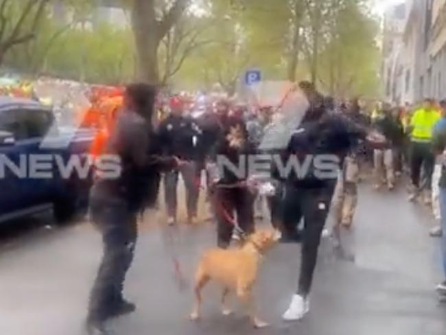 Probe into alleged dog kicking at protest