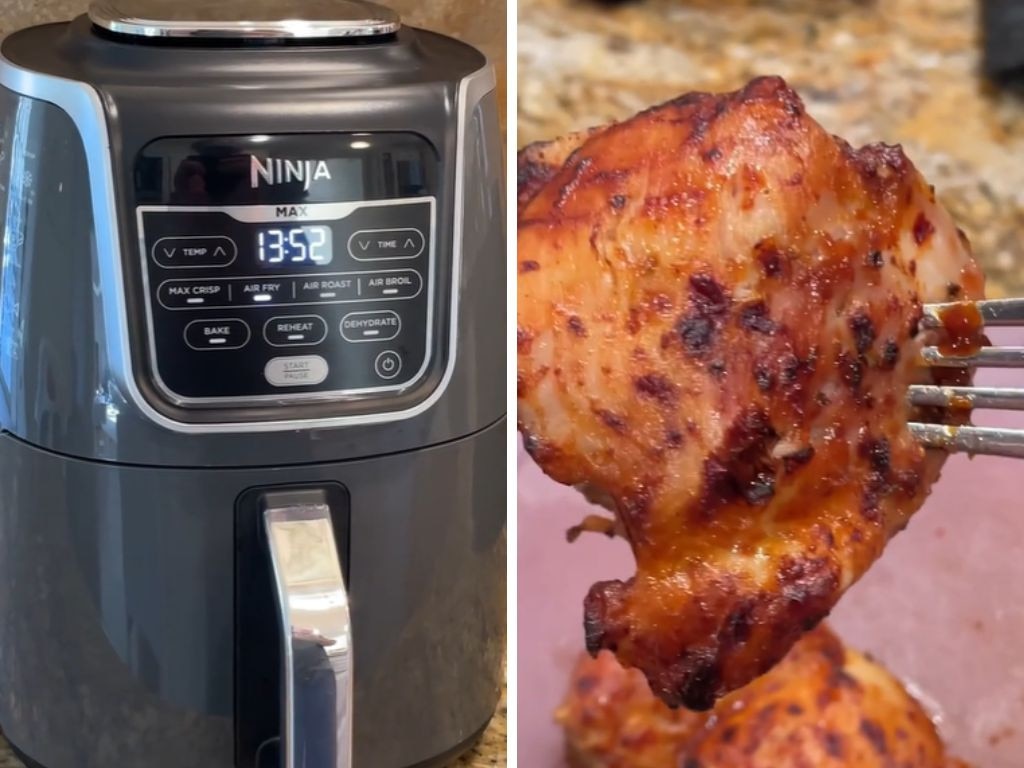 Ninja Air Fryer Deluxe (AF160). Picture: TikTok/@prudentreviews.