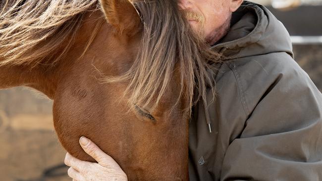 NEWS: BRUMBY HORSEOrin JamesOrin competed in the Australian Brumby challenge where he was randomly assigned a bumby to train over 120 days. His brumby VBA Courage, was the sole survivor of the Mt Kosciuszko fires. They now own that horse.PICTURED: Orin James with VBA CouragePICTURE: ZOE PHILLIPS