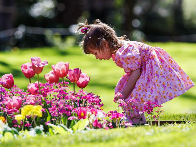 Dr Lampugnani said the city is forecast to have a “worse than usual” hay fever season. Picture: Aaron Francis