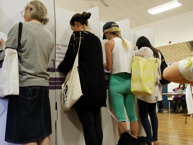 FEDERAL ELECTION 2019. BONDI BEACH. A dog waits for his mum to vote, at the polling booths at Bondi Beach Public School, Bondi Beach, Sydney, Australia, 18 May 2019. Picture: Brianne Makin