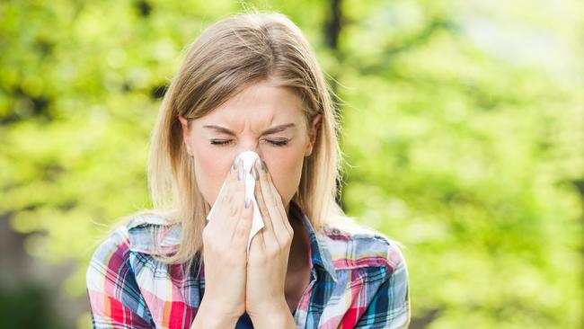 New research to be released on Thursday to mark the start of spring, shows South Australia is the nation’s hay fever capital. Picture supplied.