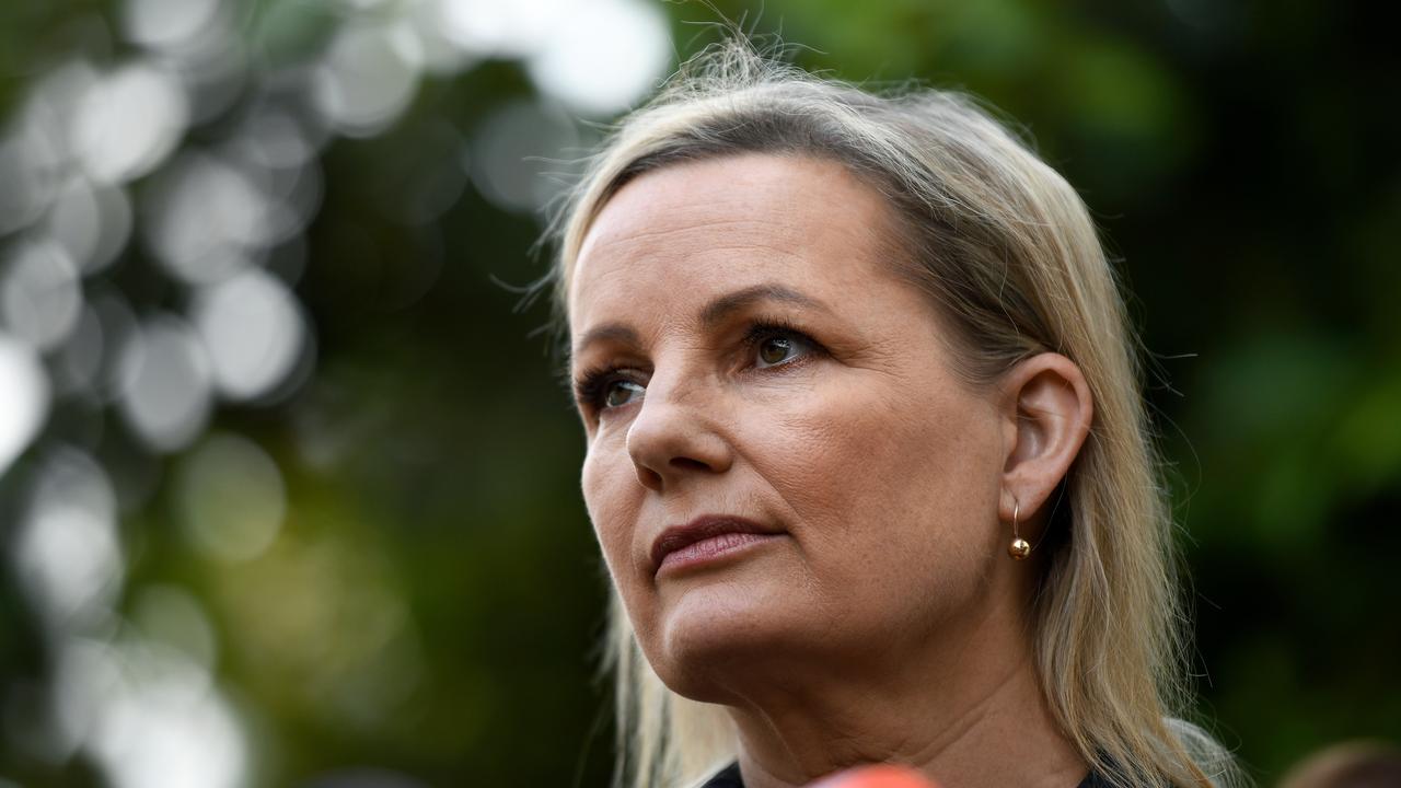 Environment Minister Sussan Ley. Picture: AAP Image/Bianca De Marchi