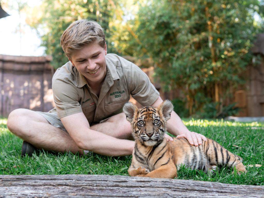 Robert Irwin with a Sumatran Tiger cub at Australia Zoo. The zoo came in at No 10 on the list. Picture: Animal Planet