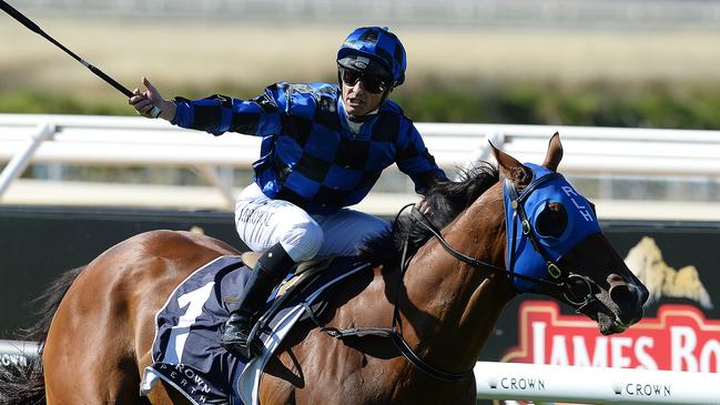 SPORT - Super Saturday, Ascot, Perth. Photo by Daniel Wilkins. PICTURED - Race 7, Buffering ridden by Damian Browne wins the Winterbottom Stakes