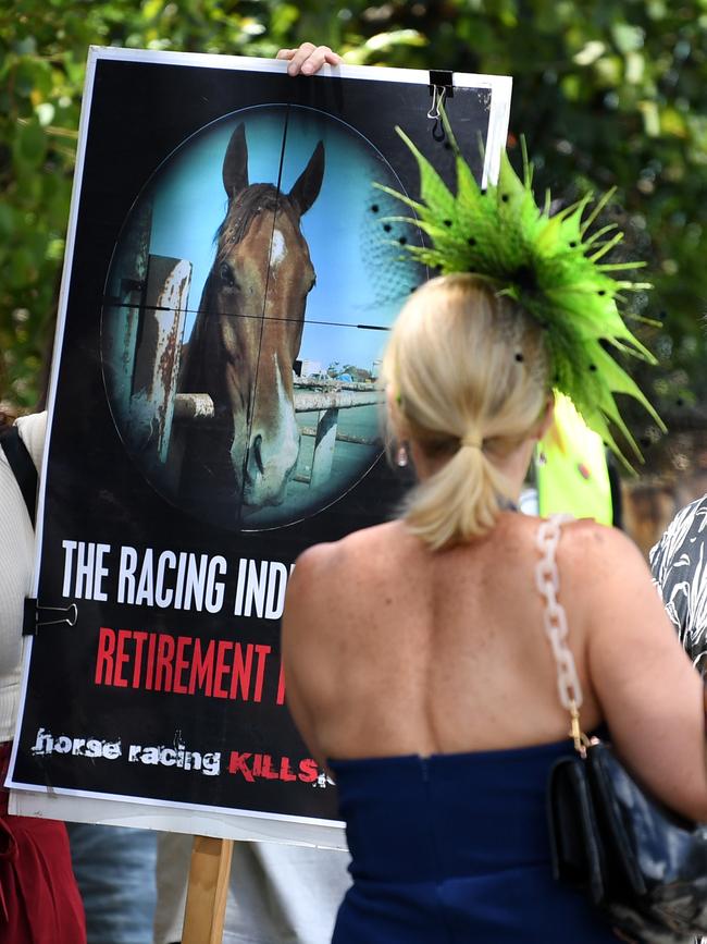 A racegoer walks past animal welfare activists as they protest outside the Eagle Farm racecourse. Picture: AAP/Dan Peled