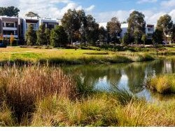 An image included in the draft Ingleside Place Strategy showing indicative medium density housing that may be built in the redevelopment precinct. Picture: Cox Architecture