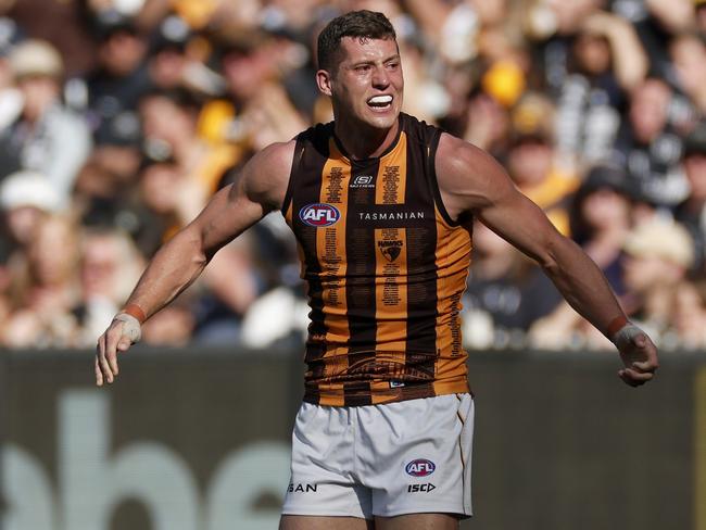 Meek celebrates a goal for the Hawks. Picture: Daniel Pockett/Getty Images