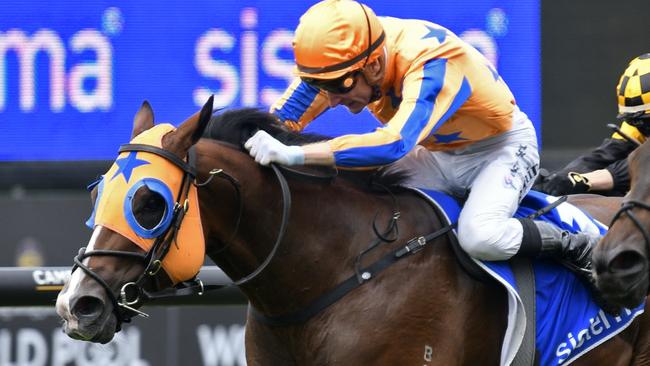 Return To Conquer, ridden by Blake Shin winning the Group 1 Sistema Stakes (1200m) at Ellerslie on Saturday, March 8, 2025. Picture: Kenton Wright (Race Images)