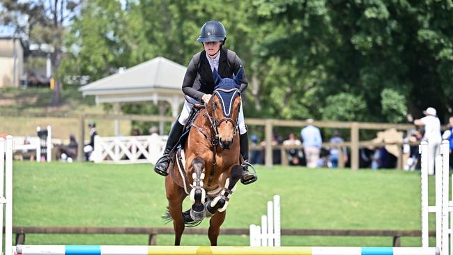 Alison Ostenfield and Stan the ex-racehorse competed without knocking over any poles.