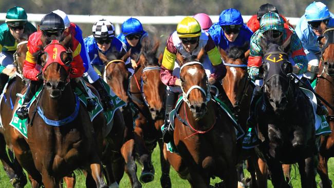 Racing in New South Wales on Friday is highlighted by the Albury Cup meeting.