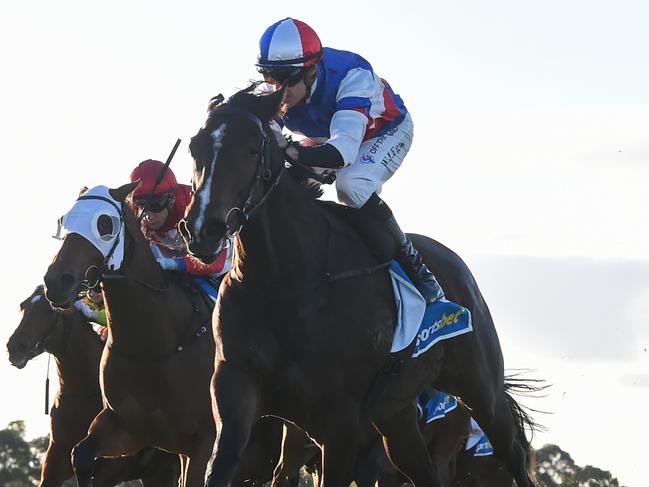 The Open ridden by Billy Egan wins the Sportsbet Samson Handicap at Sportsbet Sandown Lakeside Racecourse on June 02, 2024 in Springvale, Australia. (Photo by Pat Scala/Racing Photos via Getty Images)