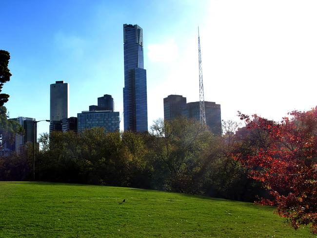 The Domain Parklands could get a new walkway. Picture: Nicole Garmston