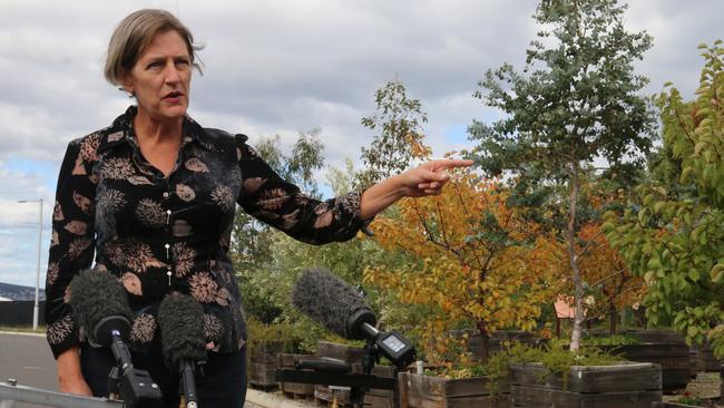 Greens leader Cassy O'Connor speaks to the media at Macquarie Point on Friday, March 24, 2023.