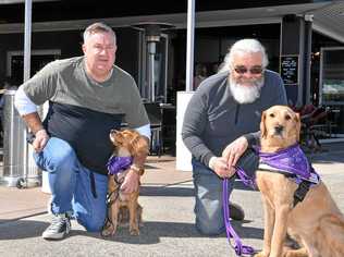 Andrew Harris and Roger Weeks at Riba Kai with rescued dogs that they train to assist those affected by PTSD. Picture: John McCutcheon