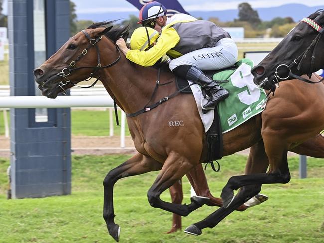 Coco Jamboo (yellow sleeves) win the Group 3 Hawkesbury Crown. Picture: Bradley Photos