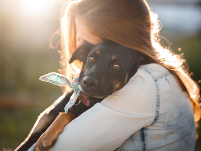 Dogs just want to love and be loved.