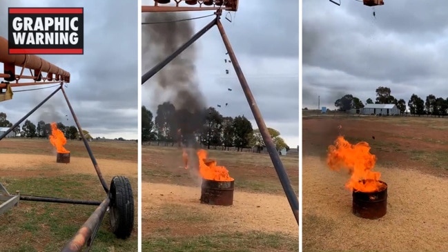 Farmer incinerates mice in 44 gallon drum