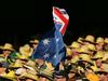 Don’t support Australia Day? Well go to work then
