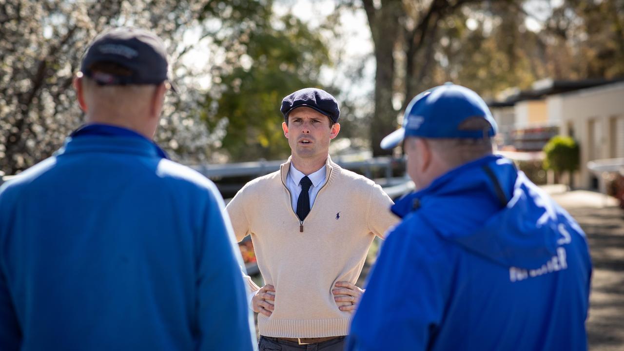Racing Behind the Scenes With Godolphin
