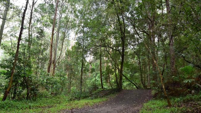 Graffiti-covered Northmead-North Rocks dam one of region’s biggest ...