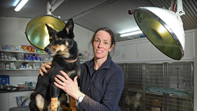 Claire Law is the owner of Rural Veterinary Services at Hyynam. Picture: Tom Huntley