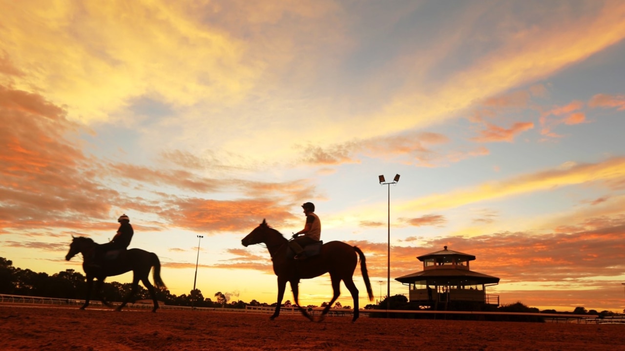 Rosehill Racecourse to be redeveloped for 25,000 houses