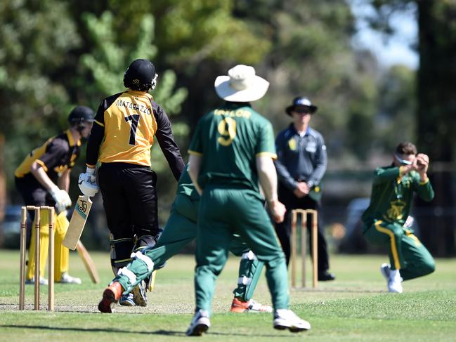 Matt Short holds onto a caught and bowled chance. Picture: Steve Tanner