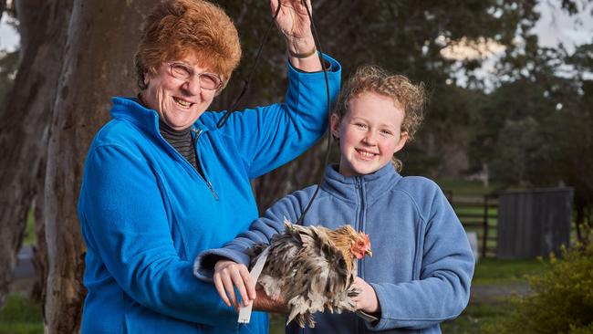 Chicken lead creator Wendy Nicholson with her granddaughter, Lillian, 11 with Bonnie the chicken at home in Woodside. Picture: Matt Loxton