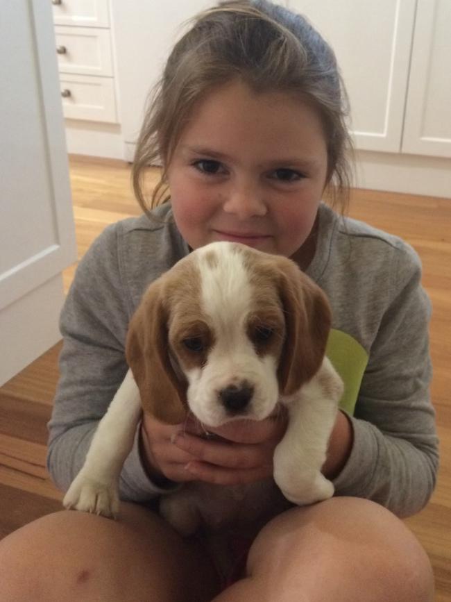 Poppy was given her beloved beaglier, Olive, on her 11th birthday. Picture: supplied by the family