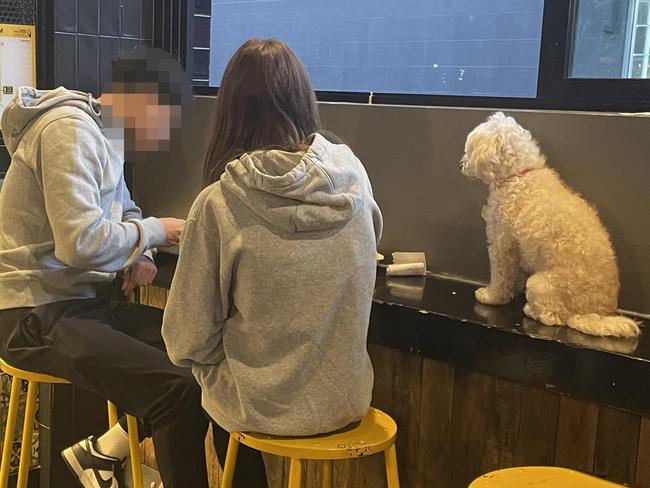 Couple slammed for ‘gross’ dog act