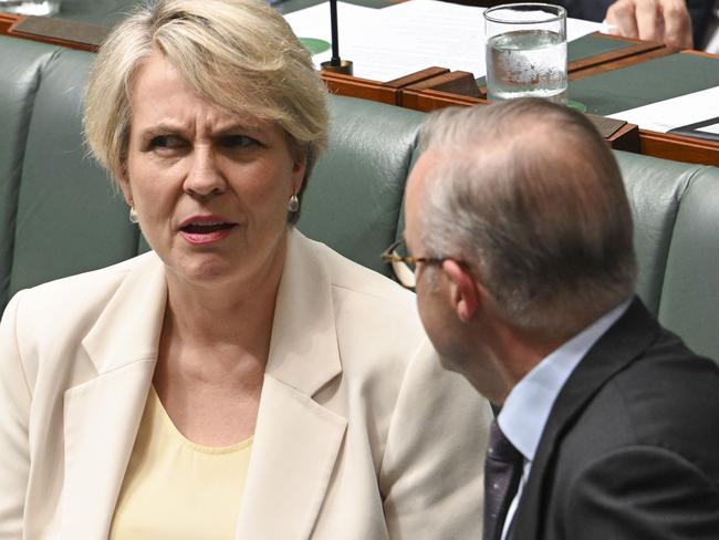 CANBERRA, AUSTRALIA, NewsWire Photos. FEBRUARY 14, 2024: Minister for Environment and Water Tanya Plibersek and Prime Minister Anthony Albanese during Question Time at Parliament House in Canberra. Picture: NCA NewsWire / Martin Ollman