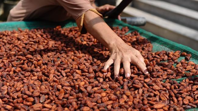 Visiting a cocoa bean farm had one journalist wondering if the farmers ever got to see th