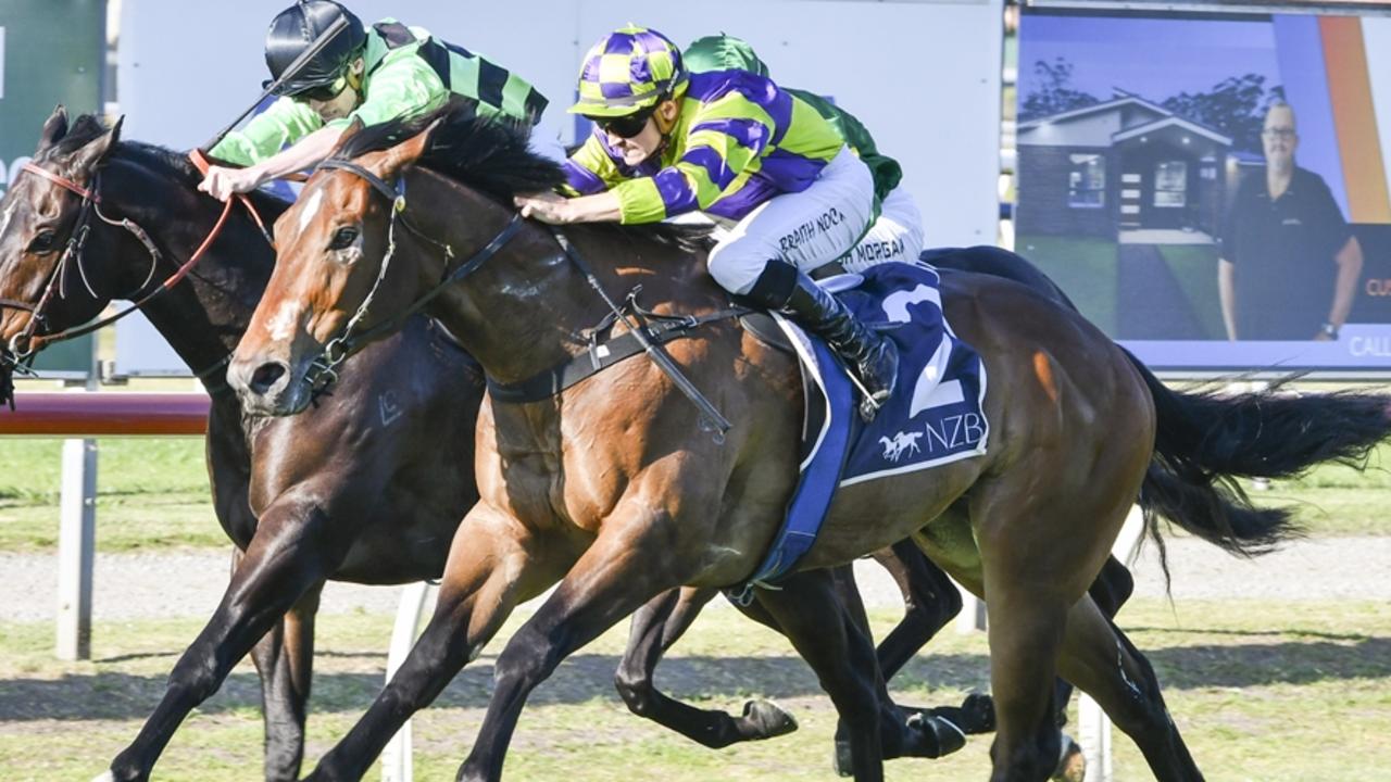 Wyong, Sapphire Coast tips: King to reclaim his thrown