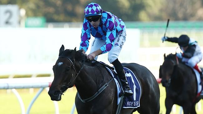 Ciaron Maher told owner Tony Ottobre anything is possible with Pride Of Jenni. Picture: Getty Images