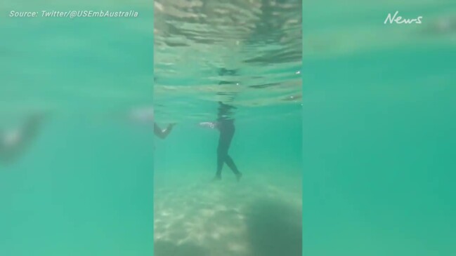 U.S. ambassador to Australia gets surf lesson from Mick Fanning