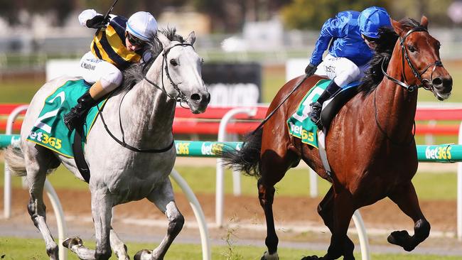 Mallyon (left) in action at the Geelong Cup earlier this month. Picture: Michael Dodge/Getty Images