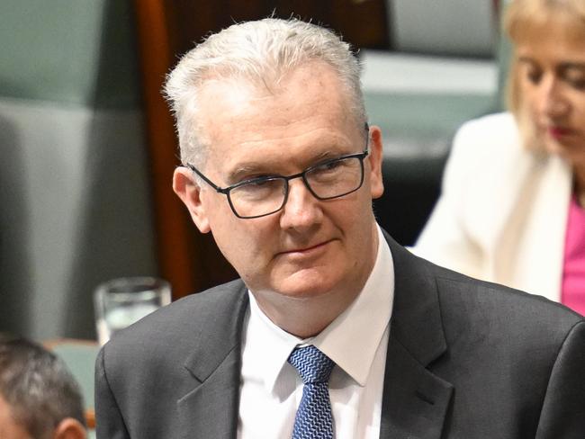 CANBERRA, AUSTRALIA  - NewsWire Photos - February 13, 2025: Minister for Home Affairs and Minister for the Arts, Tony Burke during Question Time at Parliament House in Canberra. Picture: NewsWire / Martin Ollman