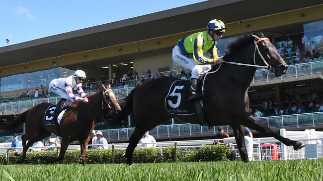 Dal Cielo scored a dominant win at Warwick Farm last start.
