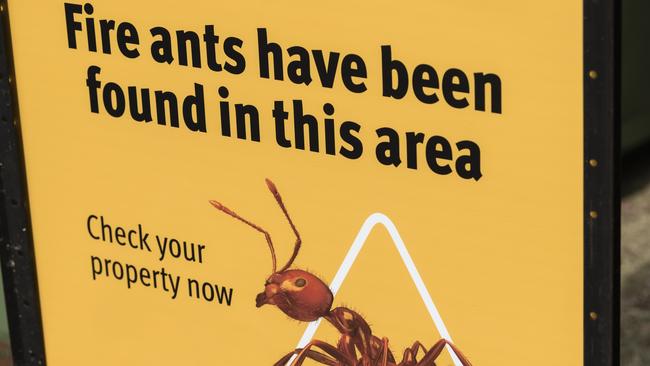 A Queensland government sign advises that fire ants have been found in the area. Picture: Kevin Farmer