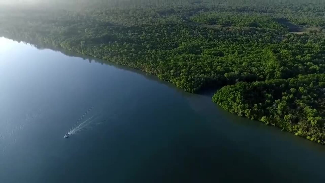 Shark and ray expedition to remote Cape York