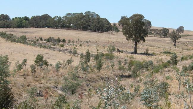 Only five people a year have been fined for illegal vegetation clearance.