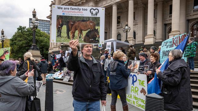 Protesters at Parliament House on Wednesday afternoon. Picture: Jake Nowakowski