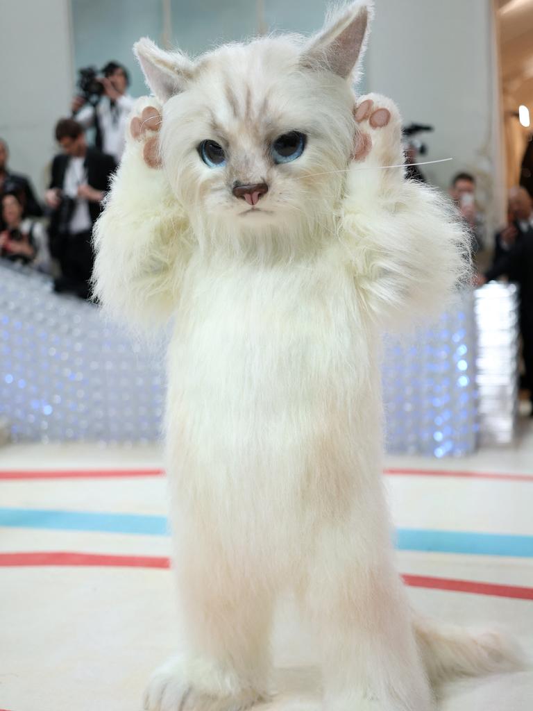 Jared Leto dressed as Karl Lagerfeld’s cat, Choupette, to the Met Gala. Picture: Mike Coppola/Getty Images via AFP
