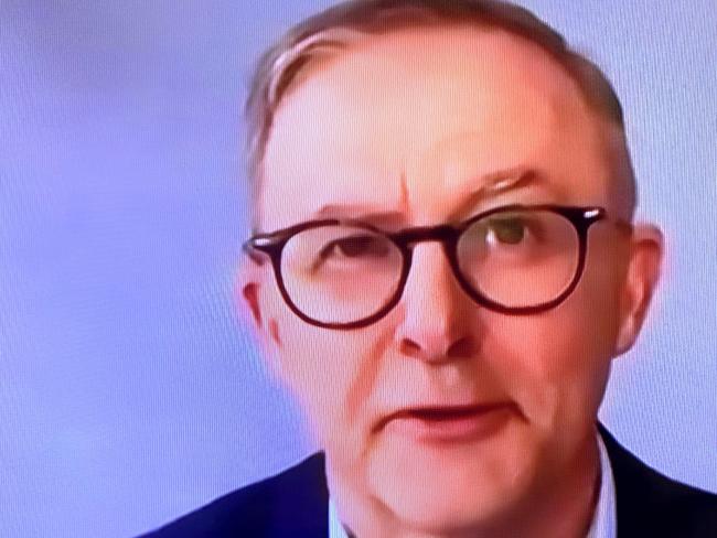 Opposition leader Anthony Albanese appears on the ABC after having contracted COVID 19 during the 2022 election campaign