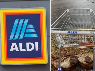 Aldi shoppers will be happy about this new addition